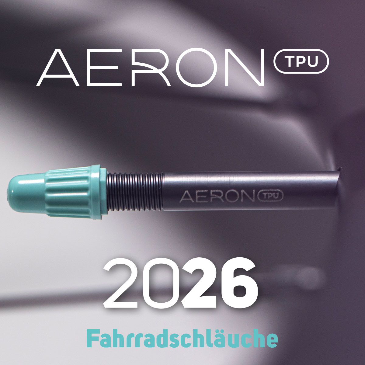 Sail+Surf | Aeron 2026